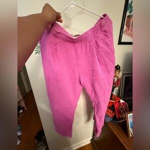 Vibrant Gap Pink Cotton Pants